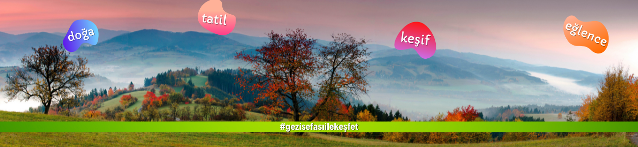 Çerez Kullanımı